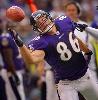 goCapsRavens